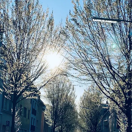 Zehuus Beletage * Cologne