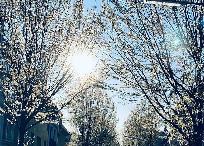 Zehuus Beletage * Keulen